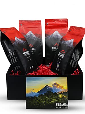 Flavored Coffee Gift Box, Whole Bean, Fresh Roasted, 4 X 16-ounces, Caramel Chocolate, French Vanilla, Hazelnut, and Pumpkin Spice
