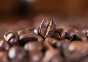 Best Non Oily Coffee Beans