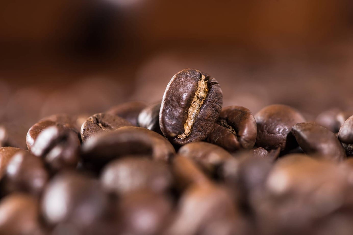 Best Non Oily Coffee Beans