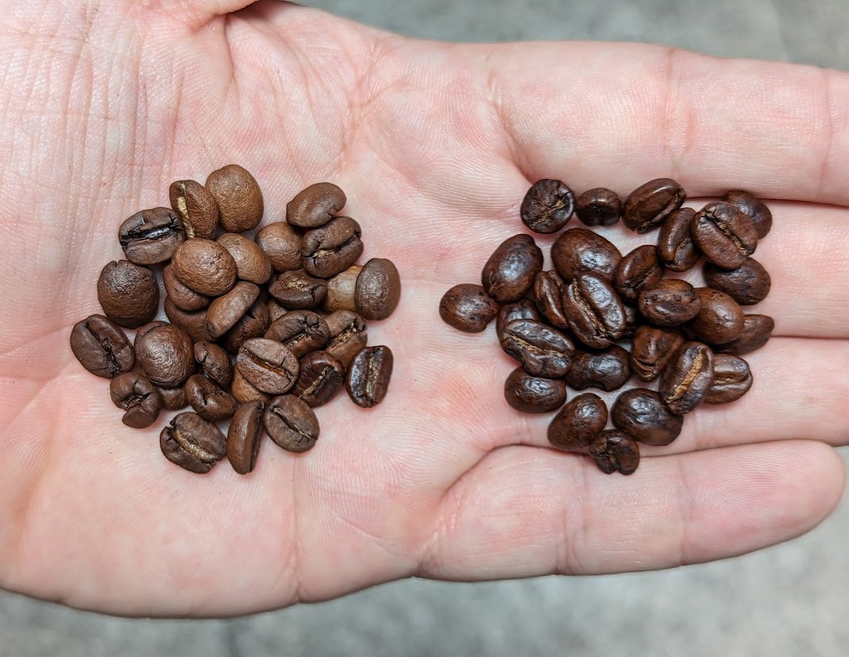 coffee beans of varying degrees of roasting