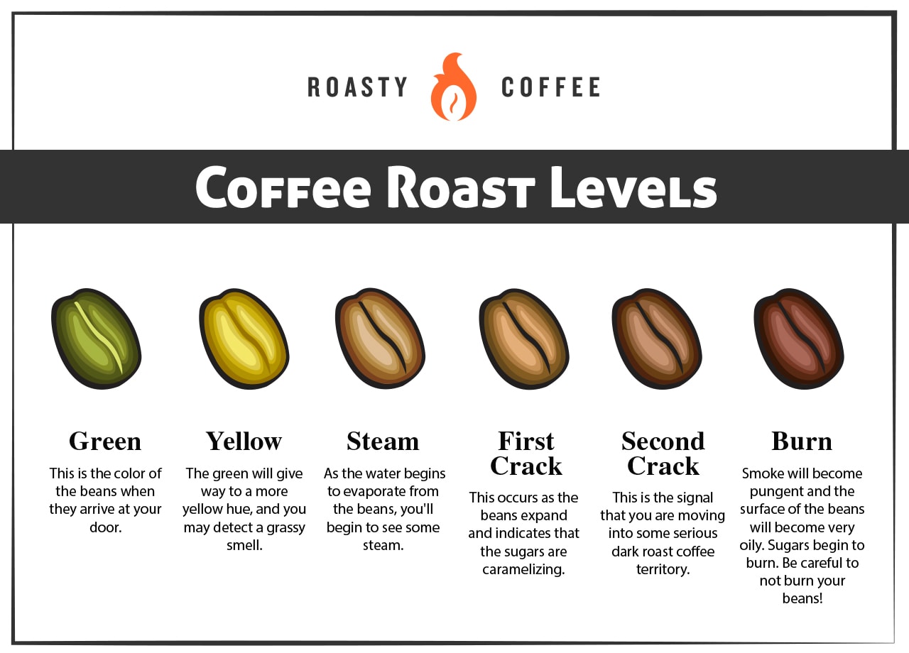 Coffee Bean Roast Levels Infographic