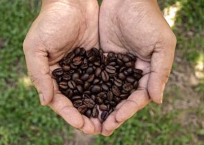 Costa Rican Coffee Maker
