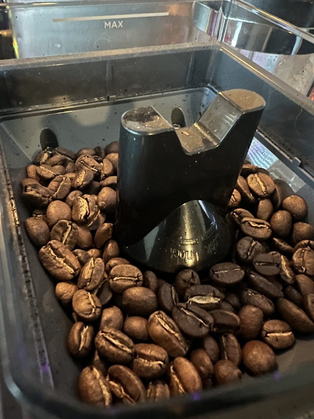 coffee beans in coffee grinder